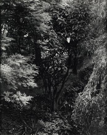 PAUL STRAND (1890-1976) Paul Strand: Portfolio Two--The Garden.